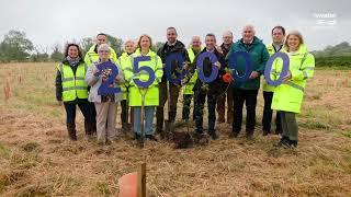 NI Water's Chair Jo Aston on the Benefits of Large-Scale Tree Planting