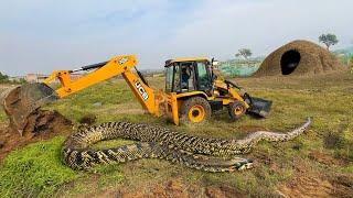 JCB 3dx Backhoe Loading Mud in Swaraj trector JCB khudai work JCB miti khudai #jcb #jcbkhudai