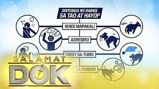 Salamat Dok: Information about rabies