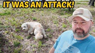 This Isn't Good At All...Another Attack