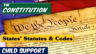 Which Laws You Can Use To Defeat Child Support - Constitution or State Statutes & Codes