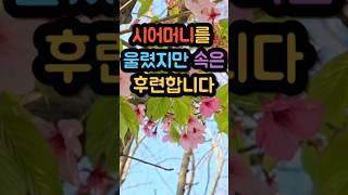 시어머니를 울렸지만 속은 시원합니다