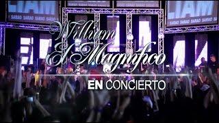 HD Concierto william el magnifico HD