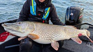 Angler catches record pike during research project!