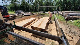 Slabbing hoop pine