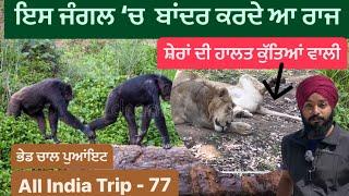 Assam Zoo || Guwahati Zoo || Sikh Traveller || Punjabi Traveller