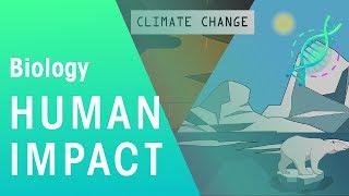 Human Impact | Environment | Biology | FuseSchool