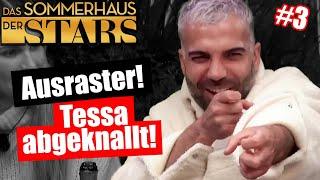 Sommerhaus 2024: AUSRASTER! Warum greift RTL nicht ein?