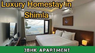 Best Luxury Apartment to Stay In Shimla Jakhoo | Best Homestay In Shimla