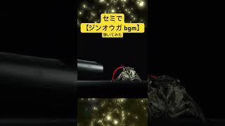 【#ジンオウガ bgm】#セミ で #弾いてみた #mhrise #閃烈なる蒼光