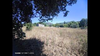 30120m2 of land 2 large wells, forest olive and fruit trees and border stream list price 55,000 euro