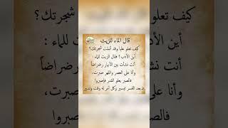 اقوال وحكم رائعة للعقول الراقية - عبرة و حكم نادره - بالتأكيد أنت المقصود #حكم #حكمة_اعجبتني #حكمة