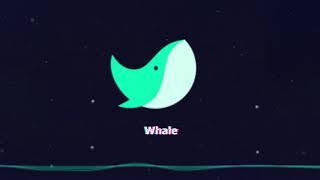 네이버 새로운 웨일(Whale) 브라우저 리뷰