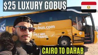 $25 LUXURY gobus to Dahab  - الحافلة الفاخرة إلى دهب ل25$