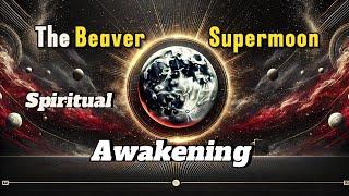 Beaver Supermoon Spiritual Awakening