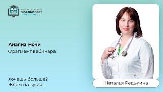 Фрагмент вебинара "Анализ мочи", лектор Наталья Редькина