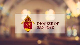 Shamrock ️ CUSTOMER Testimonial | Diocese of San Jose