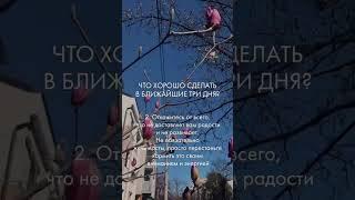Что хорошо сделать в ближайшие три дня