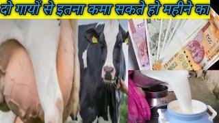 Two Cows Monthly Income ll How to start Cow Dairy Farming ll Dairy Farming profit ll