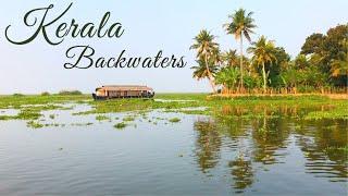 Kerala Backwaters on Houseboat | Trip Experience | Alleppey | Lotus Farms & Alappuzha Village Life