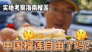 中国榴莲自由了吗？ 实地考察看一看到底真相如何？