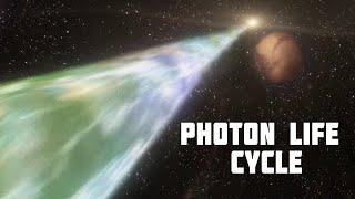 Where photons disappear when the light goes out? Photon Life cycle