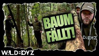 Das CAMP | #03 | Wir fällen einen Baum