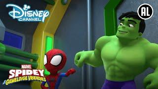 Spidey | Super Vriendelijke Hulk ️ | Disney Channel NL