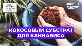 Подготовка и буферизация кокоса для каннабиса | озвучка Dzagi