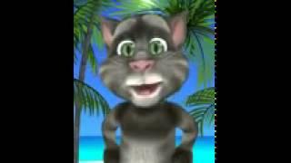 Misael Diaz- El gatito JaJa