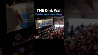 Pre-order THE Dink Wall at ScottsdalePickleballCompany.com