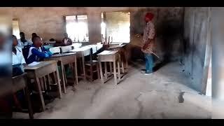 Red fish the English language teacher