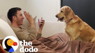 Golden Retriever Begs Dad To Perform Magic Tricks For Her | The Dodo