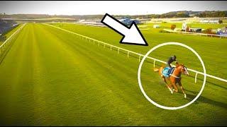 Top 15 Largest Margin Victories in G1 Horse Racing History | #1 Will Shock You!