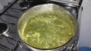 Brewing some Chacruna tea   Chá de Chacrona   Psychotria Viridis   Not Ayahuasca   4K video