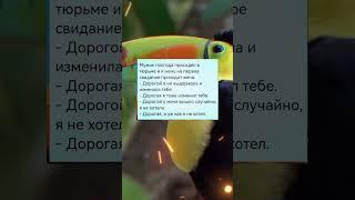 Анекдот дня #настроение #анекдот #прикол #юмор #анекдоты #мем #смех #приколы