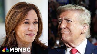 How the Trump and Harris teams are feeling on Election Day