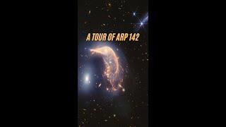 A Tour of Arp 142