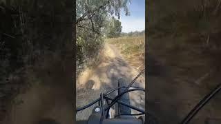 Exploring Hidden Trails with My Son #trending #shorts #shortvideo