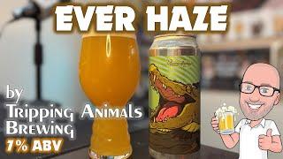 𝗘𝘃𝗲𝗿 𝗛𝗮𝘇𝗲 by 𝐓𝐫𝐢𝐩𝐩𝐢𝐧𝐠 𝐀𝐧𝐢𝐦𝐚𝐥𝐬 𝐁𝐫𝐞𝐰𝐢𝐧𝐠 (criminally underrated hazy IPA!?)