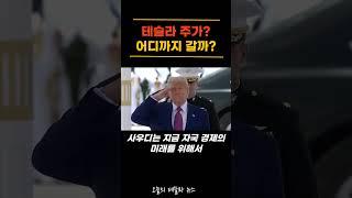 테슬라 주가 ? 어디까지 갈까?