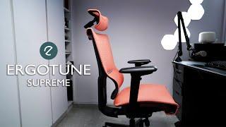 Affordable Ergonomic Home Office Chair | Ergotune Supreme Review