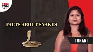 Facts Of Snakes | Torani | TomTom Facts