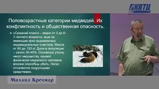 "Медведи против людей и люди против медведей". Лекция Михаила Кречмара.