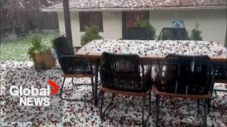 "Devastating" summer hailstorm in Calgary damages homes, cars