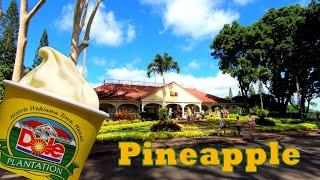 Dole Plantation Hawaii  Hawaii Dole Plantation Virtual Tour