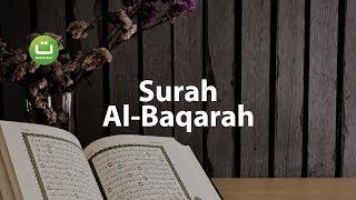 Juz 1 Surah Al Baqarah سورة البقرة - Abu Usamah ᴴᴰ | Tadabbur Daily