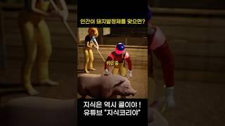 인간이 돼지 00제를 맞으면…