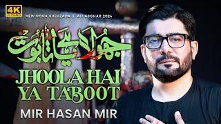 Jhoola Hai Ya Taboot Tumhara Ali Asghar | Mir Hasan Mir Nohay 2024 | Muharram 2024/1446