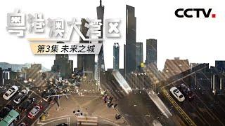 《粤港澳大湾区》第3集 如果想知道15年后的中国是什么样子？粤港澳大湾区 应该是最佳视角！【CCTV纪录】